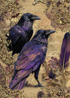 Detailed preview of Ravens & Gilded Pages with a diagonal watermark. Purchased download files are watermark-free.